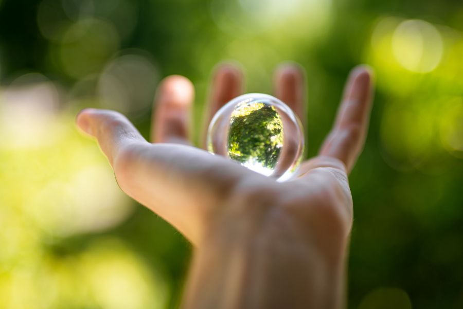 Das Bild zeigt eine offene Hand, die in der Mitte eine Glaskugel hält, in welcher sich ein grüner Wald spiegelt. Dieses Bild soll für die Natur stehen, die AAT schützen möchte.